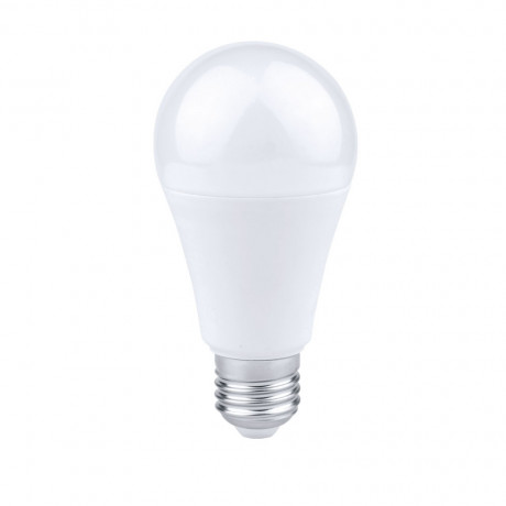 Ampoules LED standard 12W